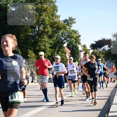 01.09.2024 - BARMER Alsterlauf Dr. Thomas Lammeyer http://msf.ph/oto/6896330 01.09.2024 09:34:26 Laufen 817, 4440, 4726, 4977, 2552, 1670 meine-sportfotos.de