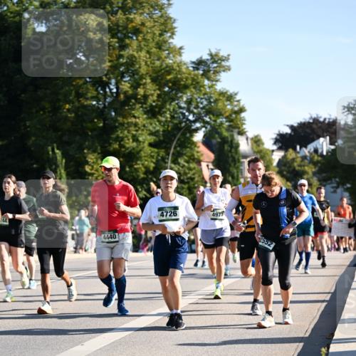 01.09.2024 - BARMER Alsterlauf Dr. Thomas Lammeyer http://msf.ph/oto/6896334 01.09.2024 09:34:27 Laufen 144, 4440, 4726, 4977, 552 meine-sportfotos.de