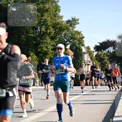 01.09.2024 - BARMER Alsterlauf Dr. Thomas Lammeyer http://msf.ph/oto/6896374 01.09.2024 09:34:30 Laufen 0, 4498, 3758, 5244, 495, 4641 meine-sportfotos.de
