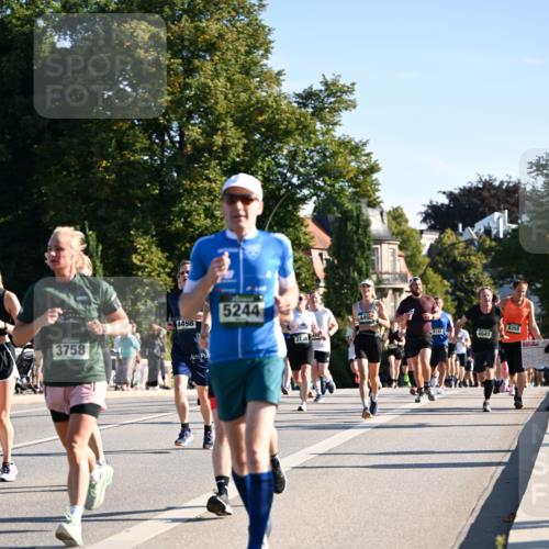01.09.2024 - BARMER Alsterlauf Dr. Thomas Lammeyer http://msf.ph/oto/6896377 01.09.2024 09:34:31 Laufen 3758, 4498, 5244, 445, 8358, 3135, 4641 meine-sportfotos.de