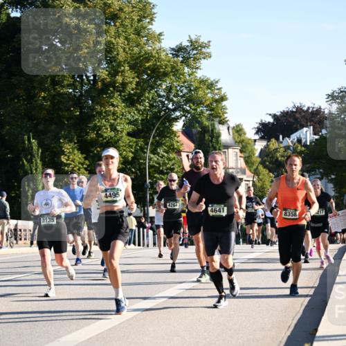 01.09.2024 - BARMER Alsterlauf Dr. Thomas Lammeyer http://msf.ph/oto/6896391 01.09.2024 09:34:34 Laufen 3135, 4495, 4264, 4641, 4163, 8358, 217, 2012 meine-sportfotos.de