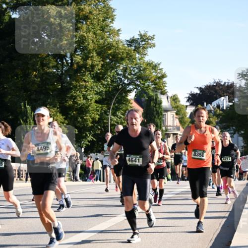 01.09.2024 - BARMER Alsterlauf Dr. Thomas Lammeyer http://msf.ph/oto/6896395 01.09.2024 09:34:34 Laufen 35, 4495, 5303, 4163, 8358, 4217, 4641, 265 meine-sportfotos.de