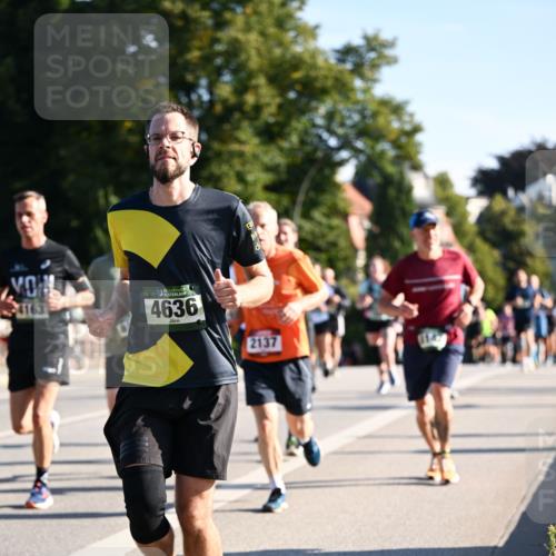 01.09.2024 - BARMER Alsterlauf Dr. Thomas Lammeyer http://msf.ph/oto/6896462 01.09.2024 09:34:41 Laufen 4163, 4636, 2137 meine-sportfotos.de