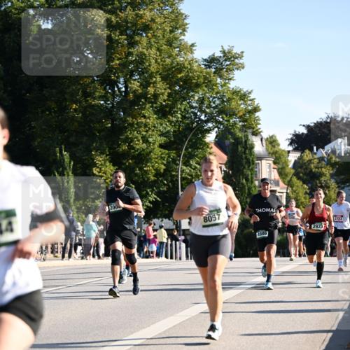 01.09.2024 - BARMER Alsterlauf Dr. Thomas Lammeyer http://msf.ph/oto/6896603 01.09.2024 09:34:52 Laufen 2004, 8057, 4986, 2923, 2723 meine-sportfotos.de