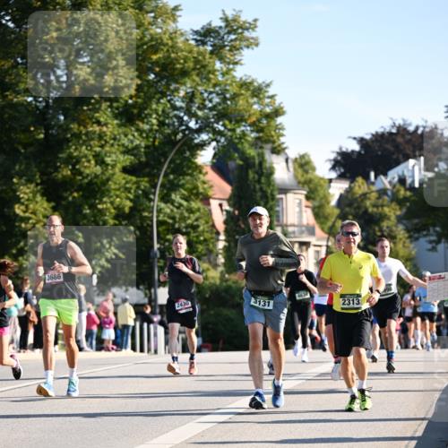 01.09.2024 - BARMER Alsterlauf Dr. Thomas Lammeyer http://msf.ph/oto/6896774 01.09.2024 09:35:07 Laufen 3686, 2430, 3131, 4634, 2313 meine-sportfotos.de
