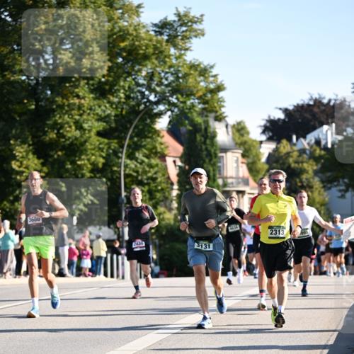 01.09.2024 - BARMER Alsterlauf Dr. Thomas Lammeyer http://msf.ph/oto/6896776 01.09.2024 09:35:07 Laufen 3686, 2430, 8, 3131, 4634, 2313, 998 meine-sportfotos.de