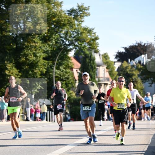 01.09.2024 - BARMER Alsterlauf Dr. Thomas Lammeyer http://msf.ph/oto/6896779 01.09.2024 09:35:07 Laufen 3686, 2430, 3131, 2313 meine-sportfotos.de