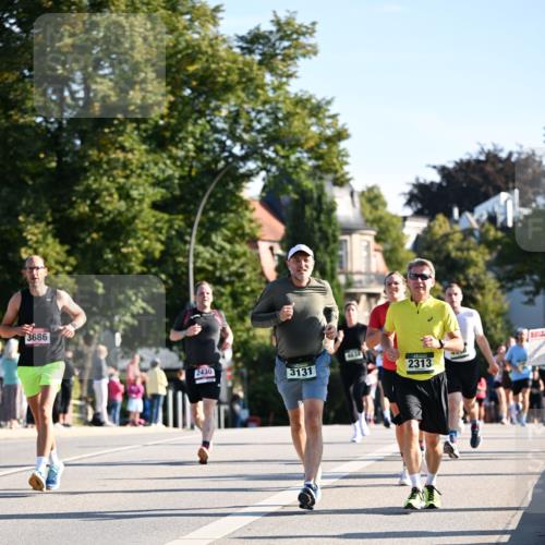 01.09.2024 - BARMER Alsterlauf Dr. Thomas Lammeyer http://msf.ph/oto/6896783 01.09.2024 09:35:07 Laufen 3686, 2430, 3131, 4634, 2313 meine-sportfotos.de
