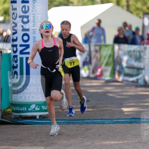 01.09.2024 - 17. Tribühne Triathlon Michael Strokosch http://msf.ph/oto/6896886 01.09.2024 09:50:18 Ziel 77, 104, 113 meine-sportfotos.de