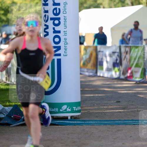 01.09.2024 - 17. Tribühne Triathlon Michael Strokosch http://msf.ph/oto/6896897 01.09.2024 09:50:19 Ziel 77, 104, 113 meine-sportfotos.de