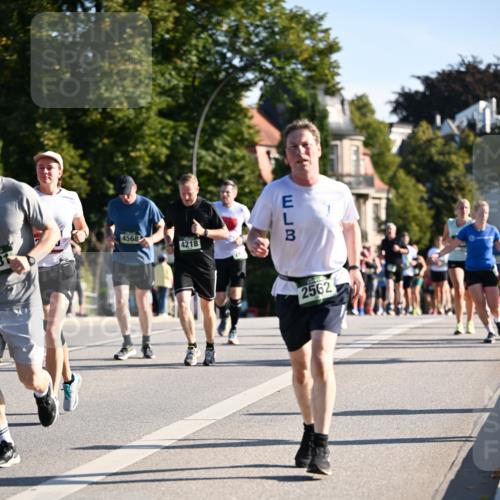 01.09.2024 - BARMER Alsterlauf Dr. Thomas Lammeyer http://msf.ph/oto/6897182 01.09.2024 09:35:31 Laufen 4568, 4218, 2562 meine-sportfotos.de