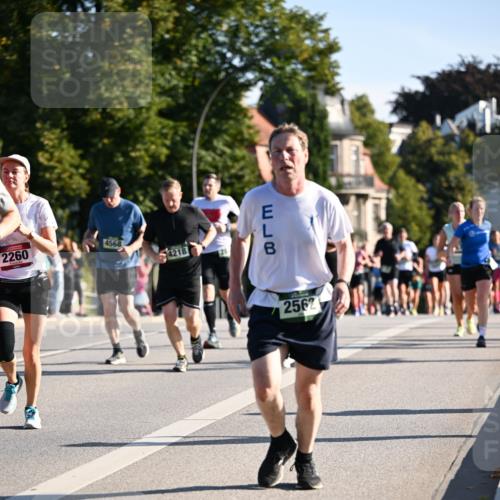 01.09.2024 - BARMER Alsterlauf Dr. Thomas Lammeyer http://msf.ph/oto/6897189 01.09.2024 09:35:31 Laufen 2260, 4568, 4218, 123, 2562 meine-sportfotos.de