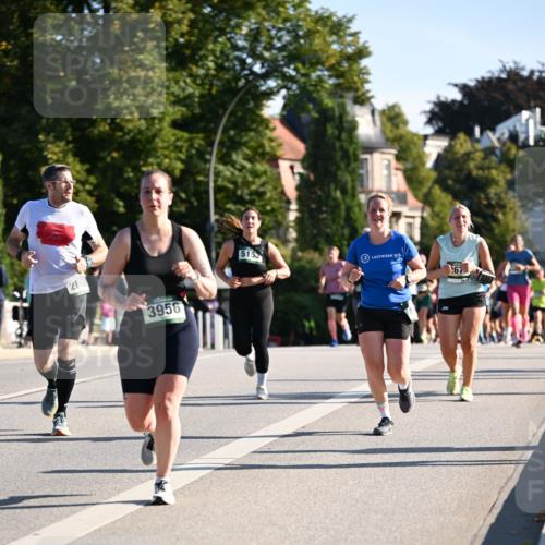 01.09.2024 - BARMER Alsterlauf Dr. Thomas Lammeyer http://msf.ph/oto/6897247 01.09.2024 09:35:34 Laufen 28, 3956, 5153, 267 meine-sportfotos.de