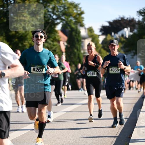 01.09.2024 - BARMER Alsterlauf Dr. Thomas Lammeyer http://msf.ph/oto/6897625 01.09.2024 09:35:51 Laufen 8267, 2915, 4855 meine-sportfotos.de