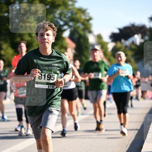 01.09.2024 - BARMER Alsterlauf Dr. Thomas Lammeyer http://msf.ph/oto/6897772 01.09.2024 09:35:58 Laufen 35, 35, 3195, 8195 meine-sportfotos.de