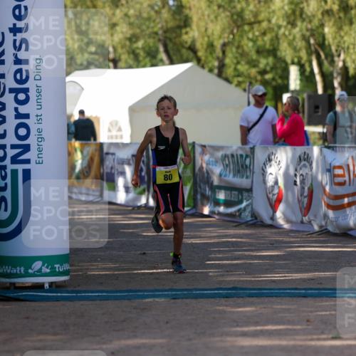 01.09.2024 - 17. Tribühne Triathlon Michael Strokosch http://msf.ph/oto/6897797 01.09.2024 09:54:33 Ziel 80 meine-sportfotos.de