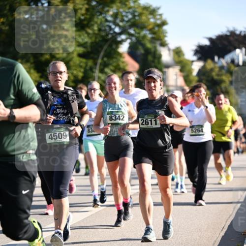 01.09.2024 - BARMER Alsterlauf Dr. Thomas Lammeyer http://msf.ph/oto/6898077 01.09.2024 09:36:13 Laufen 4509, 8342, 2611, 83, 5264 meine-sportfotos.de