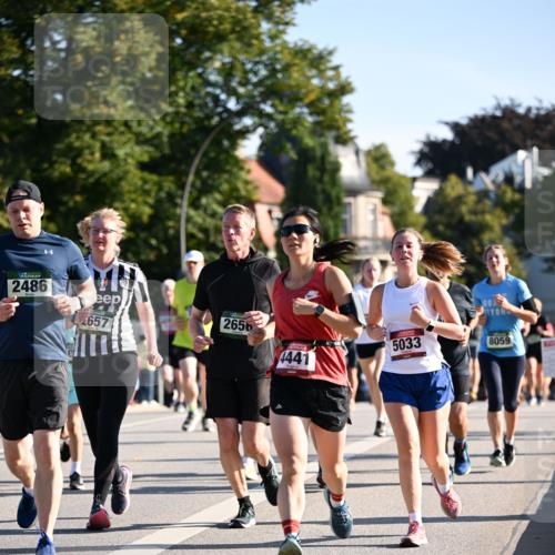 01.09.2024 - BARMER Alsterlauf Dr. Thomas Lammeyer http://msf.ph/oto/6898182 01.09.2024 09:36:24 Laufen 2486, 657, 2656, 5033, 8059, 4441 meine-sportfotos.de