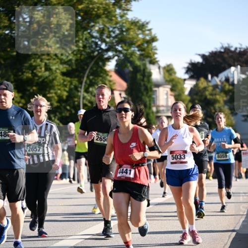01.09.2024 - BARMER Alsterlauf Dr. Thomas Lammeyer http://msf.ph/oto/6898187 01.09.2024 09:36:24 Laufen 486, 2657, 2650, 4441, 5033, 0, 8059 meine-sportfotos.de