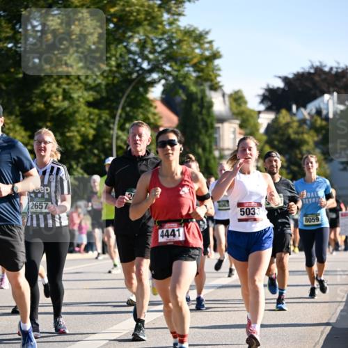 01.09.2024 - BARMER Alsterlauf Dr. Thomas Lammeyer http://msf.ph/oto/6898191 01.09.2024 09:36:24 Laufen 2657, 4441, 1063, 5033, 8059 meine-sportfotos.de