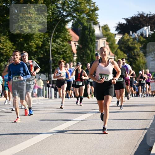 01.09.2024 - BARMER Alsterlauf Dr. Thomas Lammeyer http://msf.ph/oto/6898296 01.09.2024 09:36:30 Laufen 383, 274, 3272, 2041, 80 meine-sportfotos.de