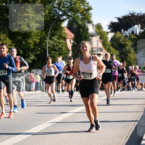 01.09.2024 - BARMER Alsterlauf Dr. Thomas Lammeyer http://msf.ph/oto/6898311 01.09.2024 09:36:30 Laufen 3839, 4972, 2274, 3272, 2041 meine-sportfotos.de