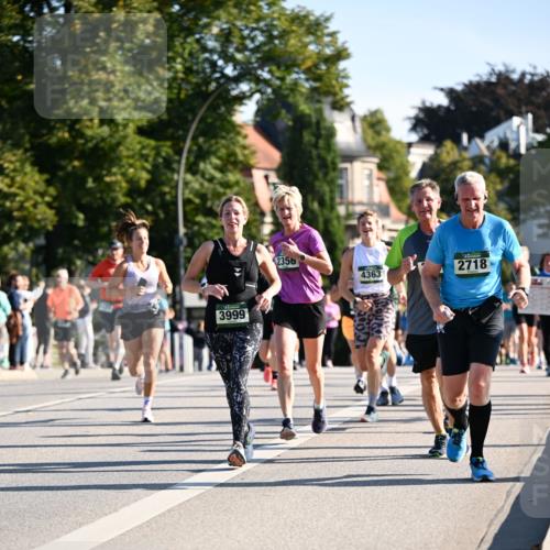 01.09.2024 - BARMER Alsterlauf Dr. Thomas Lammeyer http://msf.ph/oto/6898553 01.09.2024 09:36:40 Laufen 3999, 235, 2718, 4363 meine-sportfotos.de