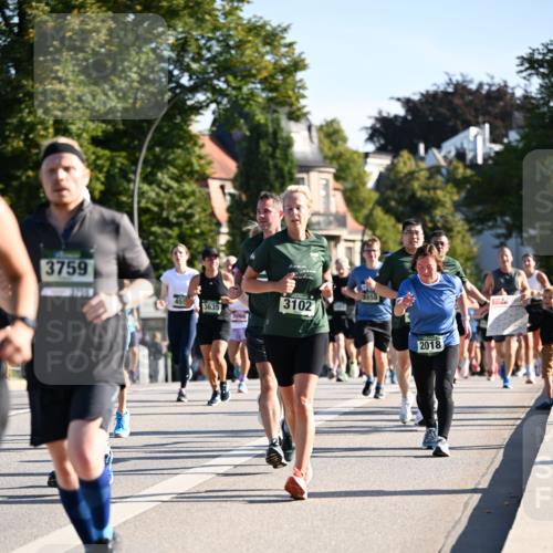 01.09.2024 - BARMER Alsterlauf Dr. Thomas Lammeyer http://msf.ph/oto/6898831 01.09.2024 09:36:47 Laufen 3759, 2739, 455, 3635, 3859, 3102, 2018 meine-sportfotos.de
