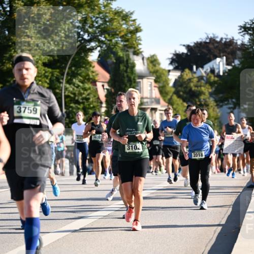 01.09.2024 - BARMER Alsterlauf Dr. Thomas Lammeyer http://msf.ph/oto/6898837 01.09.2024 09:36:47 Laufen 3759, 4553, 3635, 3859, 3102, 2018 meine-sportfotos.de