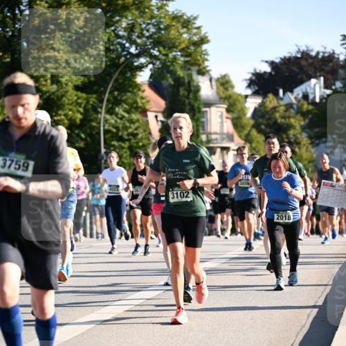 01.09.2024 - BARMER Alsterlauf Dr. Thomas Lammeyer http://msf.ph/oto/6898854 01.09.2024 09:36:47 Laufen 3759, 4553, 363, 3102, 3859, 2018 meine-sportfotos.de