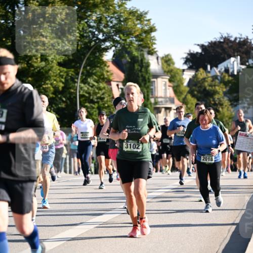 01.09.2024 - BARMER Alsterlauf Dr. Thomas Lammeyer http://msf.ph/oto/6898863 01.09.2024 09:36:47 Laufen 50, 12, 4553, 1363, 3102, 3859, 2018 meine-sportfotos.de
