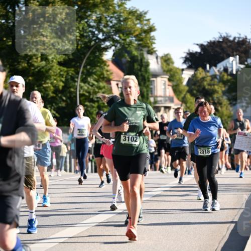 01.09.2024 - BARMER Alsterlauf Dr. Thomas Lammeyer http://msf.ph/oto/6898871 01.09.2024 09:36:47 Laufen 50, 4553, 3102, 2018 meine-sportfotos.de
