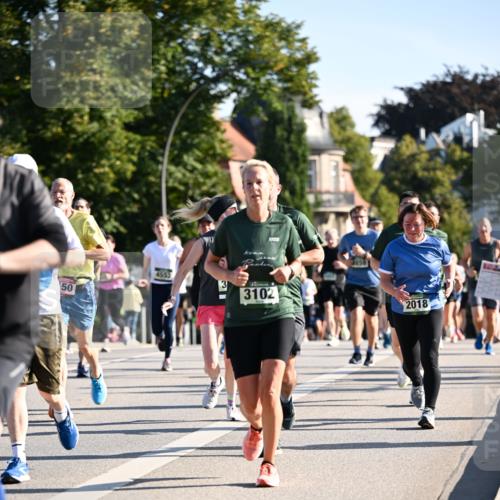 01.09.2024 - BARMER Alsterlauf Dr. Thomas Lammeyer http://msf.ph/oto/6898877 01.09.2024 09:36:48 Laufen 50, 4553, 3, 3102, 3859, 2018 meine-sportfotos.de