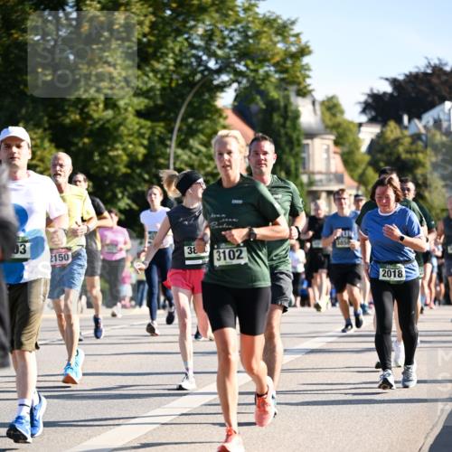 01.09.2024 - BARMER Alsterlauf Dr. Thomas Lammeyer http://msf.ph/oto/6898885 01.09.2024 09:36:48 Laufen 03, 2150, 380, 38, 3102, 3859, 2018 meine-sportfotos.de