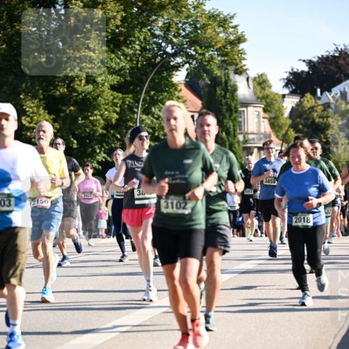 01.09.2024 - BARMER Alsterlauf Dr. Thomas Lammeyer http://msf.ph/oto/6898892 01.09.2024 09:36:48 Laufen 3421, 433, 38, 03, 2150, 3102, 3859, 5053, 502, 2018 meine-sportfotos.de