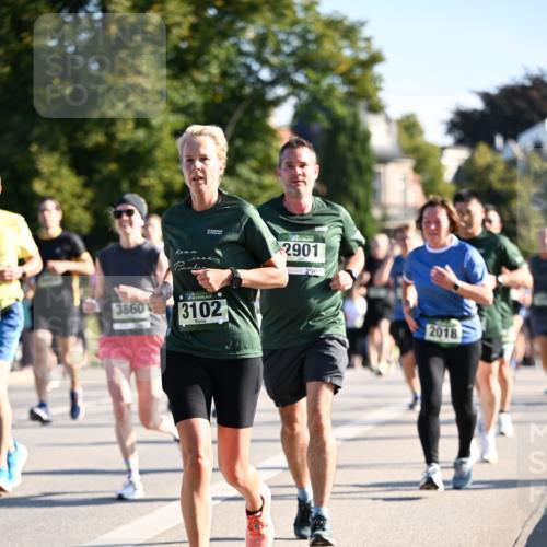 01.09.2024 - BARMER Alsterlauf Dr. Thomas Lammeyer http://msf.ph/oto/6898906 01.09.2024 09:36:49 Laufen 3860, 2901, 2901, 3102, 2018 meine-sportfotos.de