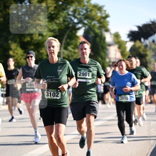 01.09.2024 - BARMER Alsterlauf Dr. Thomas Lammeyer http://msf.ph/oto/6898908 01.09.2024 09:36:49 Laufen 38, 135, 3102, 2901, 2901, 2018 meine-sportfotos.de