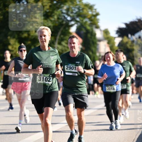 01.09.2024 - BARMER Alsterlauf Dr. Thomas Lammeyer http://msf.ph/oto/6898914 01.09.2024 09:36:49 Laufen 2901, 2901, 135, 3102, 2018 meine-sportfotos.de