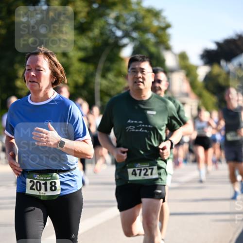 01.09.2024 - BARMER Alsterlauf Dr. Thomas Lammeyer http://msf.ph/oto/6898942 01.09.2024 09:36:51 Laufen 1635, 2018, 4727 meine-sportfotos.de