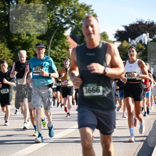 01.09.2024 - BARMER Alsterlauf Dr. Thomas Lammeyer http://msf.ph/oto/6899024 01.09.2024 09:36:55 Laufen 3208, 50, 2912, 3666, 363 meine-sportfotos.de