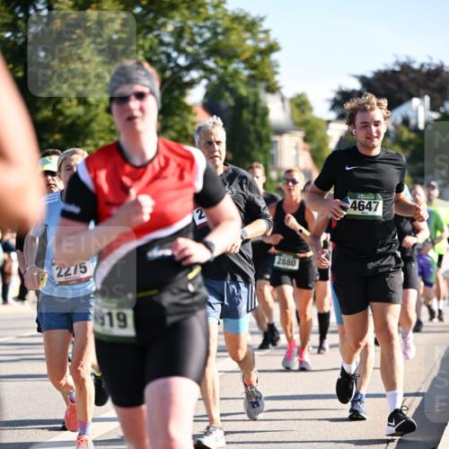 01.09.2024 - BARMER Alsterlauf Dr. Thomas Lammeyer http://msf.ph/oto/6899116 01.09.2024 09:36:58 Laufen 2275, 619, 2, 2880, 4647 meine-sportfotos.de