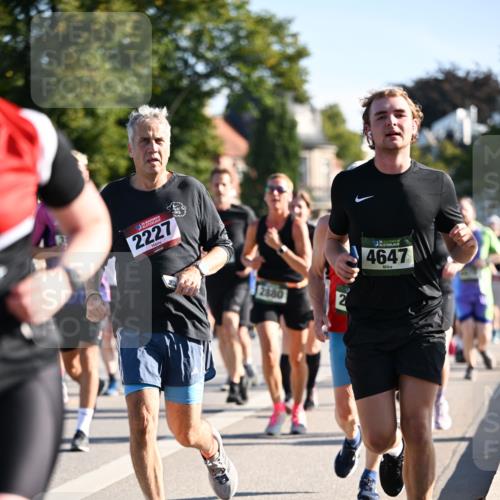 01.09.2024 - BARMER Alsterlauf Dr. Thomas Lammeyer http://msf.ph/oto/6899135 01.09.2024 09:36:59 Laufen 2227, 2880, 2, 2, 4647 meine-sportfotos.de