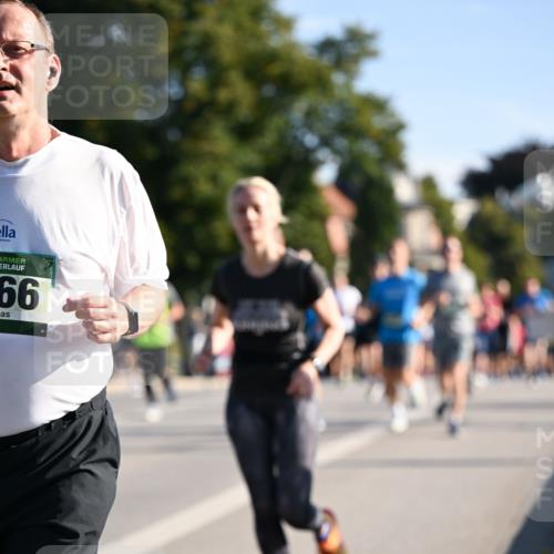 01.09.2024 - BARMER Alsterlauf Dr. Thomas Lammeyer http://msf.ph/oto/6899497 01.09.2024 09:37:12 Laufen 66 meine-sportfotos.de