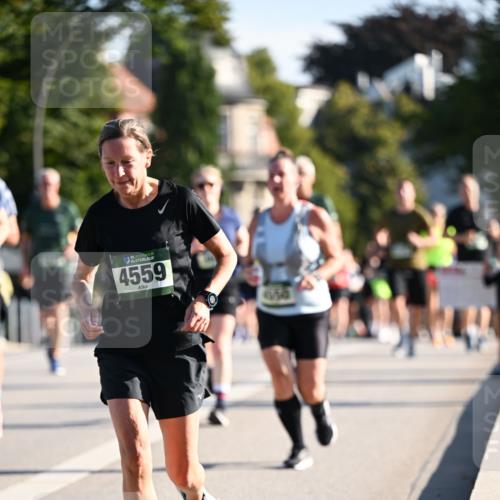 01.09.2024 - BARMER Alsterlauf Dr. Thomas Lammeyer http://msf.ph/oto/6900072 01.09.2024 09:37:40 Laufen 35, 4559, 1650 meine-sportfotos.de