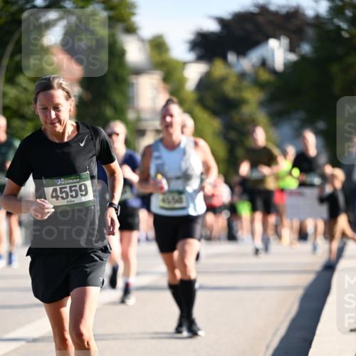 01.09.2024 - BARMER Alsterlauf Dr. Thomas Lammeyer http://msf.ph/oto/6900074 01.09.2024 09:37:40 Laufen 35, 4559 meine-sportfotos.de
