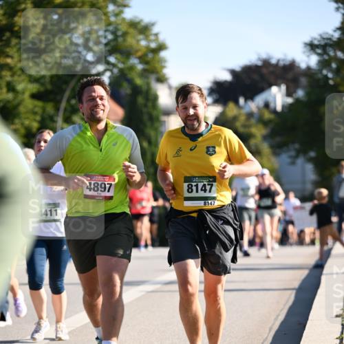 01.09.2024 - BARMER Alsterlauf Dr. Thomas Lammeyer http://msf.ph/oto/6900401 01.09.2024 09:37:59 Laufen 35, 4897, 135, 8147, 8147 meine-sportfotos.de