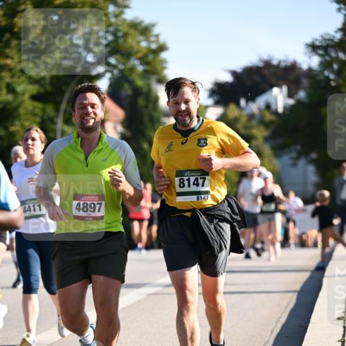 01.09.2024 - BARMER Alsterlauf Dr. Thomas Lammeyer http://msf.ph/oto/6900402 01.09.2024 09:37:59 Laufen 4411, 4897, 8147, 8147 meine-sportfotos.de