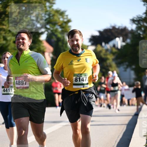 01.09.2024 - BARMER Alsterlauf Dr. Thomas Lammeyer http://msf.ph/oto/6900416 01.09.2024 09:37:59 Laufen 4411, 135, 4897, 8147, 8147 meine-sportfotos.de