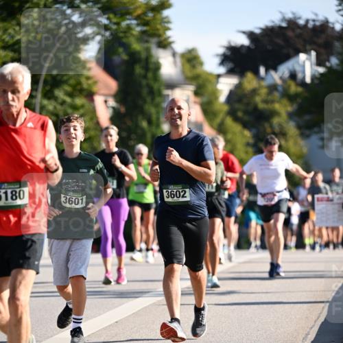 01.09.2024 - BARMER Alsterlauf Dr. Thomas Lammeyer http://msf.ph/oto/6900560 01.09.2024 09:38:07 Laufen 5180, 3601, 3602 meine-sportfotos.de
