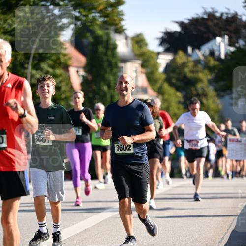 01.09.2024 - BARMER Alsterlauf Dr. Thomas Lammeyer http://msf.ph/oto/6900567 01.09.2024 09:38:08 Laufen 0, 360, 3602 meine-sportfotos.de